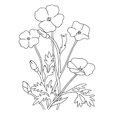 Dibujos De Flores Grandes Para Colorear Paginas Para Colorear De Flores Paginas Para Colorear Dibujos De Flores