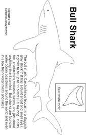 Bull Shark Print Out Enchanted Learning Software In 2020 Bull Shark Shark Facts Sharks For Kids
