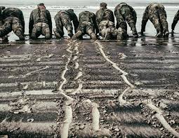 365 Days Of Intense Training Developed By A Team Of Navy Seals Mental And Physical Toughness Navy Seal Workout Navy Seal Workout Training Navy Seal Training