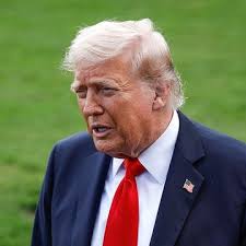 Donald Trump's Family Tree, Explained