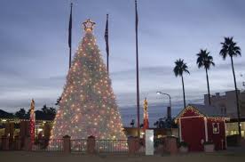 Elite image salon, seabrook, new hampshire. New England Lobster Trap Christmas Trees Where To Find Them New England Today