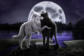 Wolf maahn wuchs in münchen auf. Awesome Cool Wolf Wallpapers Top Free Awesome Cool Wolf Backgrounds Wallpaperaccess