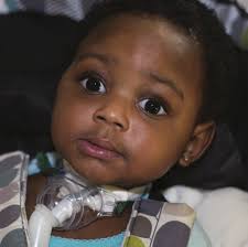 Baby boom at the Center