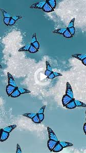 Maybe you would like to learn more about one of these? 7 Simple Skin Care Tips For Healthy Skin Game On Beauty Blog In 2021 Butterfly Wallpaper Butterfly Wallpapers Blue Butterfly Wallpaper