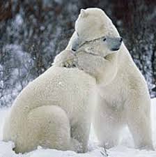 images?q=tbn:ANd9GcQevOXuN_oD66ggf_F45Km