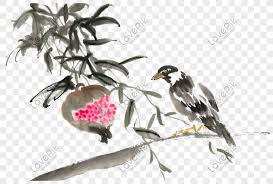 Search more high quality free transparent png images on pngkey.com and share it with your friends. 700 Gambar Burung Png Paling Keren Gambar Id