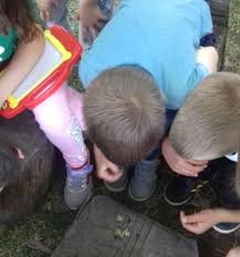 Ako si još nešto izaberete ide sve pod istu poštarinu. Djecji Vrtic Cvrcak Virovitica Skupina Ivancice Do 2019 2020