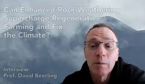 Carbon Dioxide Removal Archives