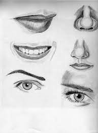 Practice Drawings Nose Drawing Eye Drawing Realistic Eye Drawing