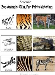 Zoo Animal Prints Science Activity And Game For Kindergarten Animal Science Activities Zoo Animals Preschool Activities Zoo Animals Preschool
