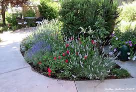 Loosely affiliated with the native plant society of oregon but open to all who are interested in learning High Desert Garden Tour Colorful Bend Branches