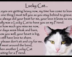 Beautiful Cat Memorial Pet Loss Bereavement Rainbow Bridge Etsy Cat Memorial Pet Loss Pet Loss Quotes