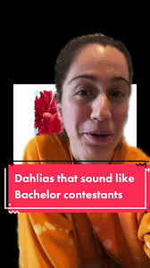 Is it just me or do these dahlia tuber names sound like they’d be  contestants