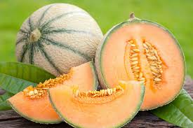 Image result for Cucumis melo