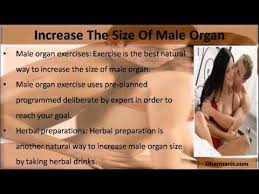 Image result for how to insert male organ into female organ