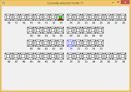 resolved create custom control for tooth chart vbforums