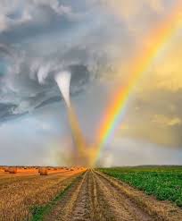    ...... -   | Facebook