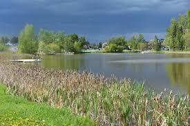 Find lake newell in real estate | looking for an apartment, condo, house or roommate in alberta ? Safety On Lake Newell Strathmore Now