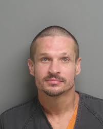 HCSO Arrests Public Records Results