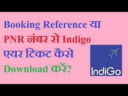 How To Download Indigo Flight Ticket From Pnr Or Booking Reference Youtube