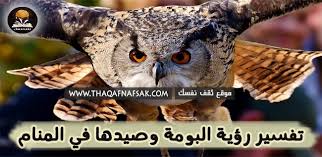 تفسير البومة في الحلم ثقف نفسك