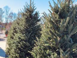 Garden waste collections have been suspended for two weeks but will resume on january 6, 2020. Christmas Tree Shopping Around Richmond Enjoying Rva And All It Has To Offer