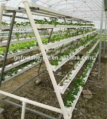 Greenhouses Structure With Commercial Hydroponics Buy Hidroponia System Greenhouses Structure With Hydroponic System Commercial Hydroponics Product On Alibaba Com