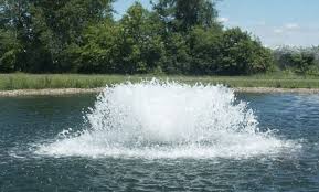Even without pond fish, it's often good to provide some form of aeration for natural bacteria and wildlife. Best Pond Aerators Oxygenate Your Pond For Healthier Fish
