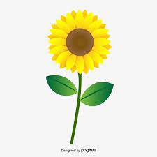 Cartoon Cute Sunflower Flowers Flower Clipart Cartoon Style Sunflower Png And Vector With Transparent Background For Free Download Sunflower Flower Cartoon Sun Flowers