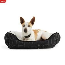 You'll always find the right size, from extra large dog beds to small and cozy cuddlers. Everyyay Essentials Snooze Fest Black Windowpane Print Dog Bed 24 L X 18 W Petco