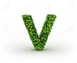 Download a free preview or high quality adobe illustrator ai, eps, pdf and high resolution jpeg versions. Letter V Alphabet Von Grunen Blattern Lizenzfreie Fotos Bilder Und Stock Fotografie Image 12668891
