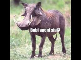 A babist, a follower of báb (siyyid `alí muhammad shírází) and babism. Kenali Babi Babi Youtube