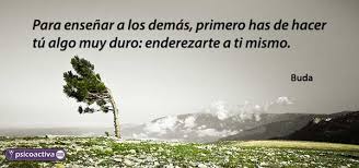 100 Mejores Frases Sabias De La Vida La vida son 3 días 2 de fiesta y uno de resaca ( ana espinel ) vota esta frase comenta esta frase. 100 mejores frases sabias de la vida