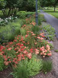 Pin On Gardens And Landscape