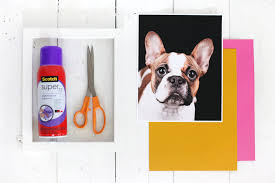 Queen seen at sandringham as she returns for 1st time since philip's death. Make Your Own Pop Art Pet Portrait A Beautiful Mess