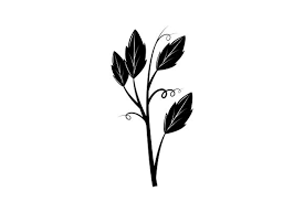 Download Dandelion Svg Cut File Free Svg Cut Files Create Your Diy Projects Using Your Cricut Explore Silhouette And More The Free Cut Files Include Svg Dxf Eps And Png Files SVG Cut Files