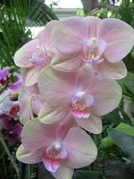 Pin On Hindi Quotes