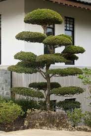 Simply Japanese Modern Japanese Garden Japanese Garden Landscape Japanese Garden Plants