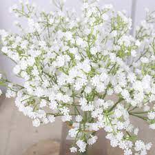 The tiny white flowers are clustered in the axils along the stems in spring. 1pc Real Touch Baby S Breath Flower Fake Silicone Plant Artificial Gypsophila For Wedding Home Hotel Party Decoration Buy Artificial Gypsophila Wedding Artificial Flowers Gypsophila Product On Alibaba Com