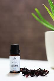 Bade Natural Okaliptus Ucucu Yagi 8681529832567 Fiyati Yorumlari Trendyol
