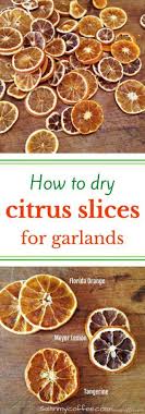 How To Dry Orange Slices Decoration De Noel Orange Recette Apero Facile Decoration Noel