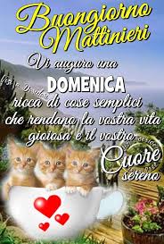 Domenica Immagine 3603 Buongiorno Mattinieri Vi Auguro Una Domenica Ricca Di Cose Semplici Che Rendano La Vostra Vita Gi Domenica Buona Domenica Buongiorno