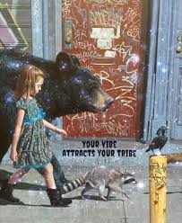 Your vibe attracts your tribe. Krachtdieren Your Vibe Attracts Your Tribe Facebook