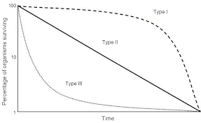 50 k 2.50.96.51 scolds or criticizes when child's behavior doesn't meet our expectations. R And K Selection