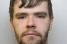 Fallen tree damages house and car as Storm Freya hits Weston-super-Mare