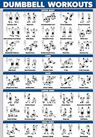 Workout Poster Dumbbell Workout And Body Weight Exercise