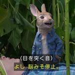 ええんか？ もたもた 私刑執行人 探すの面倒だから助かる ええんやで(ニッコリ) 俺は嫌な思いしてないから なじみくんいじめにまけないでね 映画のタイトル. Or2fbsosycq M