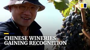 US-China relations: why Californian wines are bubbling back from Trump's  trade war