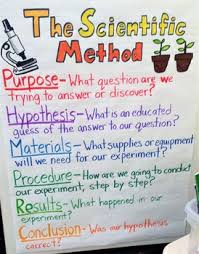 The Scientific Method Outline Anchor Chart