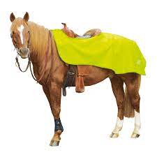 Hallo und herzlich willkommen auf unserer webseite. Reflex Ausreitdecke Western Gelb 150 Cm L Ausreit Nierendecken Loesdau Passion Pferdesport
